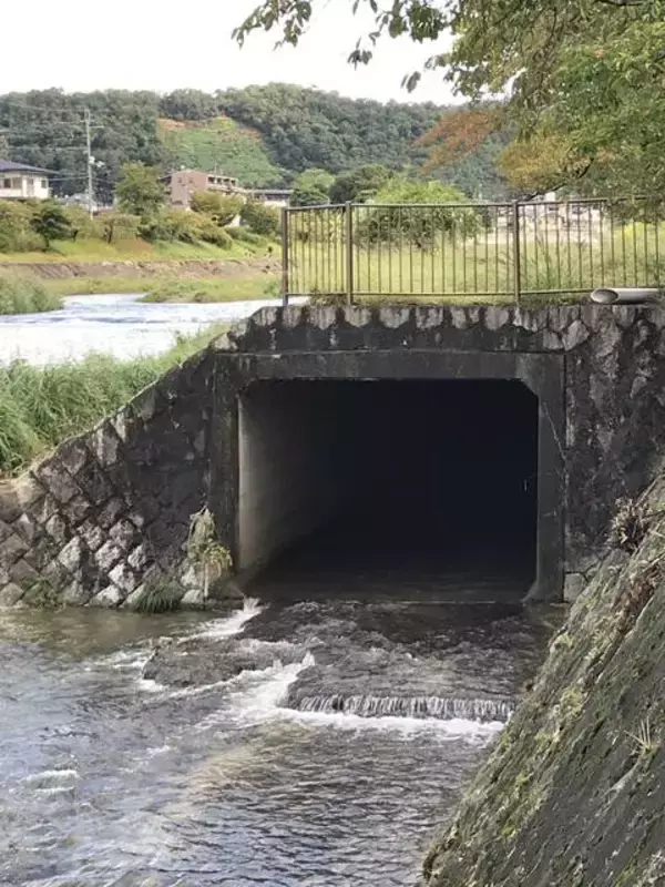「【京都ぶらり】明治時代につくられた水路『琵琶湖疏水』☆哲学の道経由で北上する疏水分線をたどる【前編】」の画像