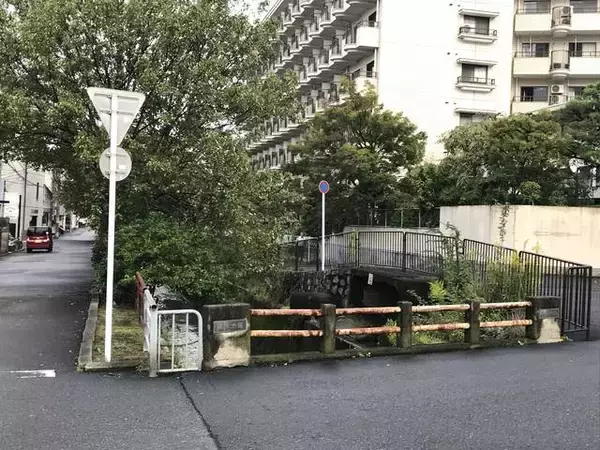 「【京都ぶらり】明治時代につくられた水路『琵琶湖疏水』☆哲学の道経由で北上する疏水分線をたどる【前編】」の画像