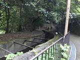 「【京都ぶらり】明治時代につくられた水路『琵琶湖疏水』☆哲学の道経由で北上する疏水分線をたどる【前編】」の画像4