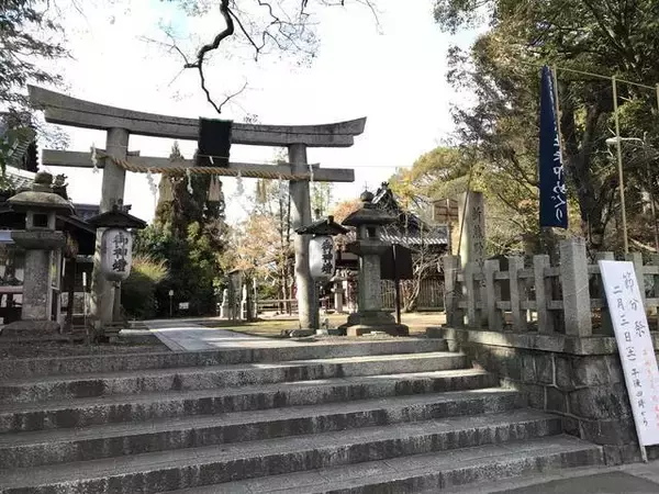 「【保存版】京都厳選の名木！有名大学シンボルツリーから神社仏閣ご神木まで【７スポット】」の画像