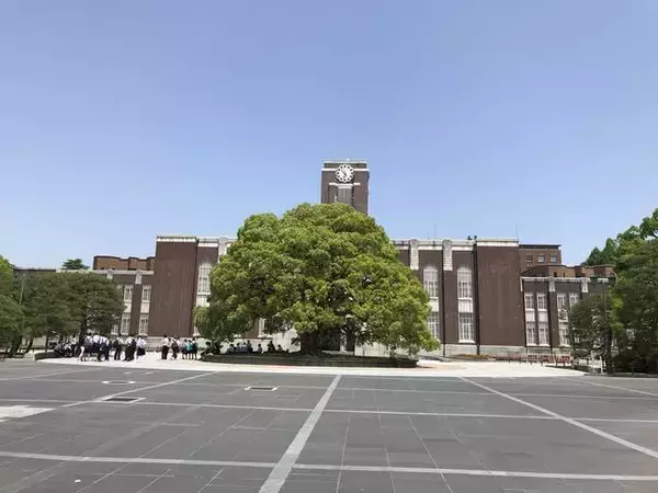 「【保存版】京都厳選の名木！有名大学シンボルツリーから神社仏閣ご神木まで【７スポット】」の画像