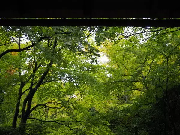 「昭和の映画スター・大河内傳次郎の邸宅跡にお邪魔しよう！『大河内山荘庭園』」の画像