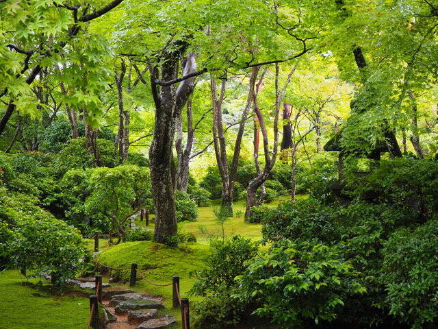 昭和の映画スター・大河内傳次郎の邸宅跡にお邪魔しよう！『大河内山荘庭園』