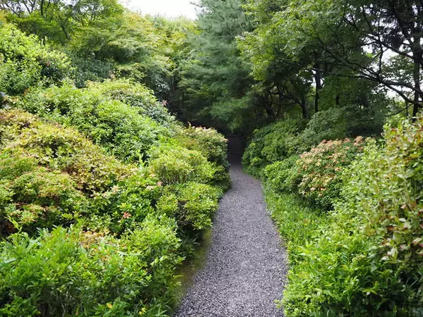「昭和の映画スター・大河内傳次郎の邸宅跡にお邪魔しよう！『大河内山荘庭園』」の画像