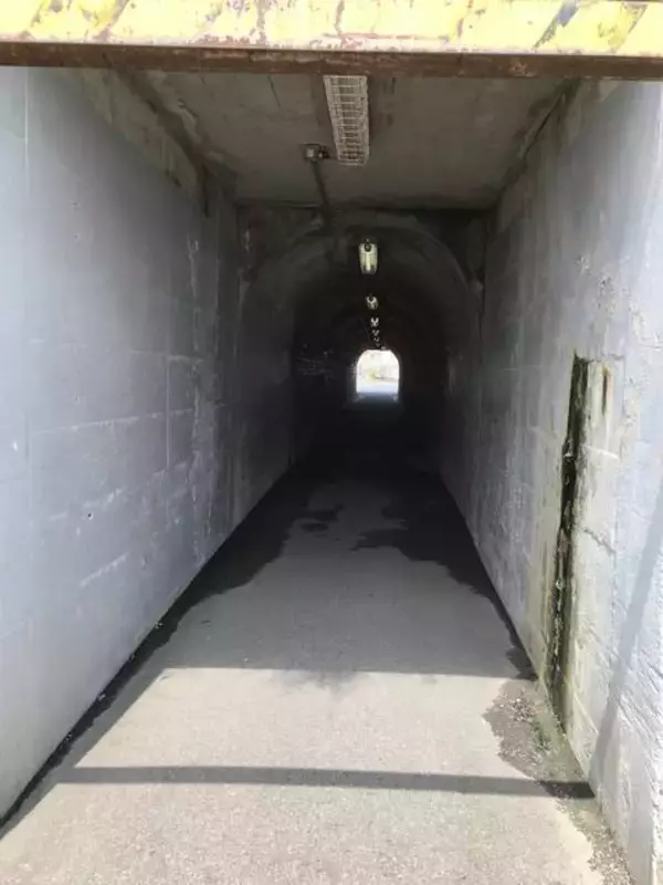 「【京都心霊スポット】知る人ぞ知る恐怖スポット！墓場に囲まれたレンガ造りの中に観音様？「厨子奥トンネル」」の画像