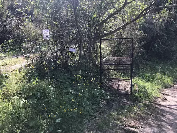 「【京都ぶらり】廃墟マニア必訪！レンガ造の旧陸軍舞鶴要塞「葦谷（あしたに）砲台跡」」の画像