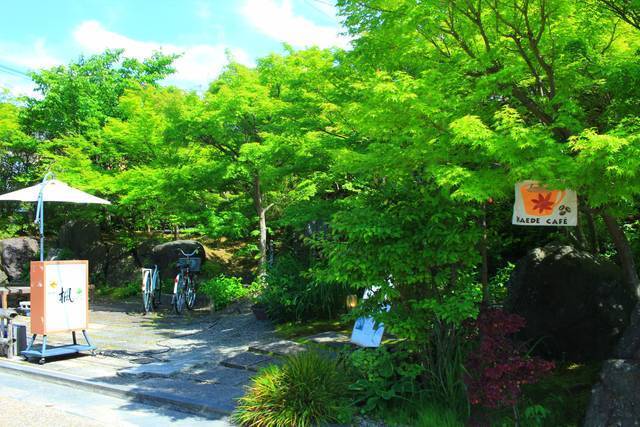 京都カフェ 青もみじに包まれる さがの楓カフェ 嵐山嵯峨野 19年5月24日 エキサイトニュース