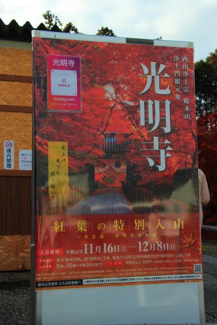 京都紅葉 長岡京の紅葉名所 光明寺 長岡京市 19年12月5日 エキサイトニュース