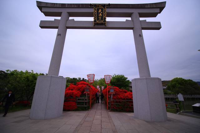 長岡天満宮 風物詩 キリシマツツジは 鑑賞自粛 のお願い 京都花めぐり 年4月22日 エキサイトニュース