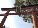 「【京都神社めぐり】お酒の神様の御祭では御神輿祀る「松尾大社 西七条御旅所」」の画像4