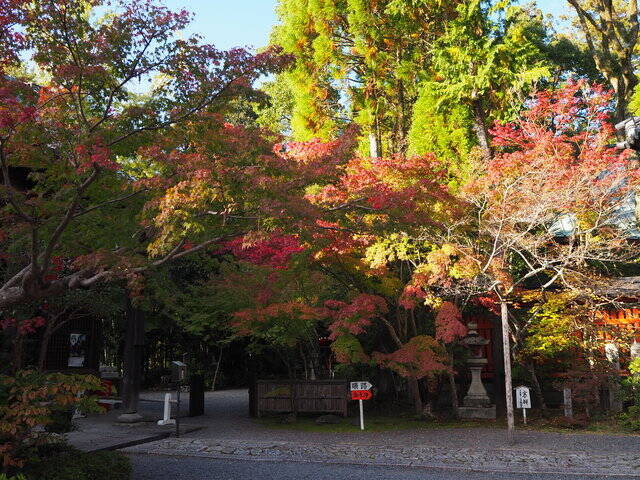 別名 紅葉寺 とも呼ばれる 修学院の 赤山禅院 年11月日 エキサイトニュース