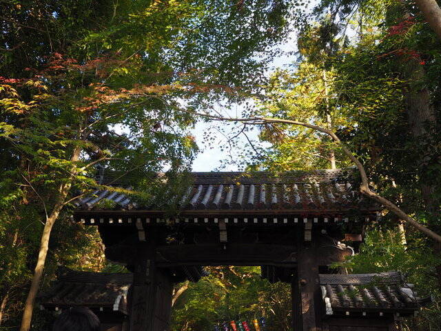 別名 紅葉寺 とも呼ばれる 修学院の 赤山禅院 年11月日 エキサイトニュース