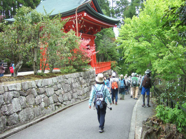 京都ｇｗイベント ハイキング感覚でバードウォッチング 比叡山府民探鳥会 5月6日 月 祝 開催 日本野鳥の会京都支部 19年4月24日 エキサイトニュース