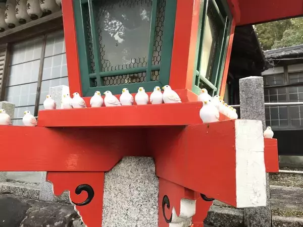 「【京都珍狛】『狛鳩』あり境内は鳩だらけ！歌舞伎 市川團十郎ゆかり「三宅八幡宮」」の画像