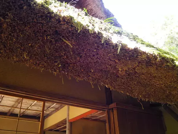 「松尾芭蕉を偲んで与謝蕪村が再興した茶室がある『金福寺』」の画像