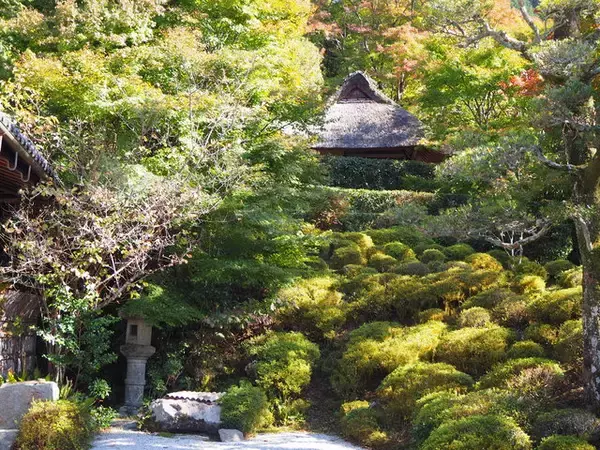 「松尾芭蕉を偲んで与謝蕪村が再興した茶室がある『金福寺』」の画像