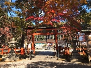 【京都和菓子】春秋のみ営業！洛西・大原野神社門前の素朴な味わい「草餅こばやし」