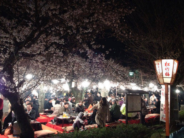 速報 円山公園や二条城の桜ライトアップ中止せず実施へ 新型コロナ 年3月19日 エキサイトニュース