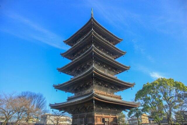 京都桜21 美しき東寺五重塔と河津桜のコラボ 京都花めぐり 21年3月16日 エキサイトニュース