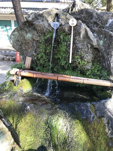 【京都自販機めぐり】必勝祈願の神様『藤森神社』の神官のありがたいメッセージ付！競馬ファンも必訪☆