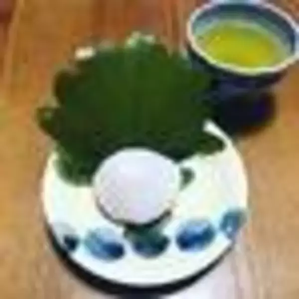 「【京都和菓子めぐり】季節菓子『水無月』も登場！銘菓『ご存じ最中』やおはぎも☆老舗「仙太郎」」の画像