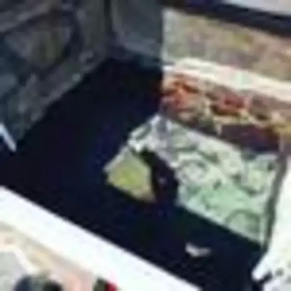 「【京都ぶらり】NHK大河ドラマで注目☆明智光秀『本能寺の変』ルート！歴史の街道分岐点「沓掛」」の画像