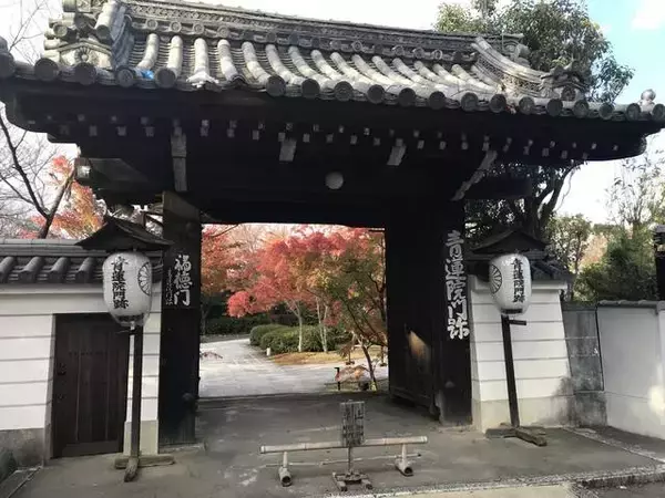 「【保存版】絶景！京都オススメの市内一望できる眺めのいい神社仏閣☆【厳選８寺社】」の画像
