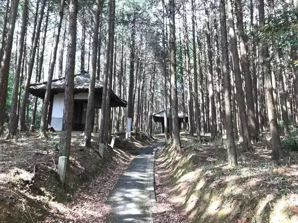 「【保存版】絶景！京都オススメの市内一望できる眺めのいい神社仏閣☆【厳選８寺社】」の画像