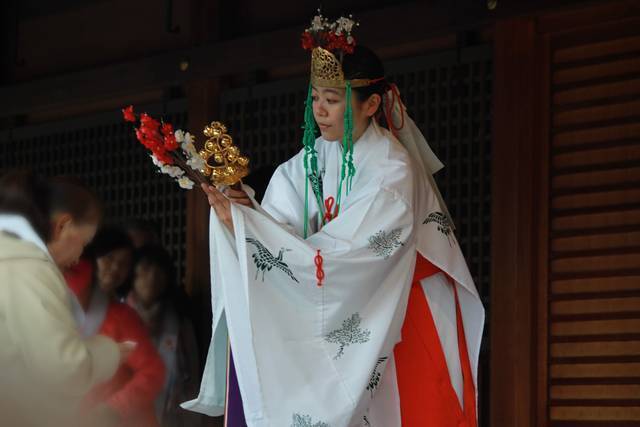 【京都花めぐり】見頃近し♪しだれ梅と椿の絶景が楽しめます♪方徐の大社「城南宮」（じょうなんぐう）