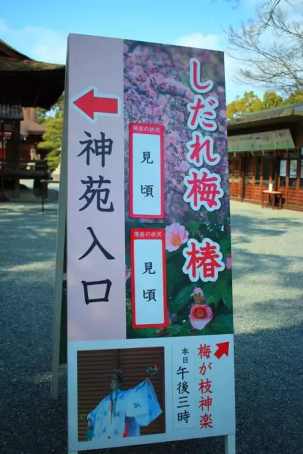 「【京都花めぐり】見頃近し♪しだれ梅と椿の絶景が楽しめます♪方徐の大社「城南宮」（じょうなんぐう）」の画像