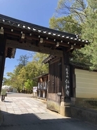世界遺産の「御室仁和寺」桜は散っても過去から続く雄大な青空を満喫！