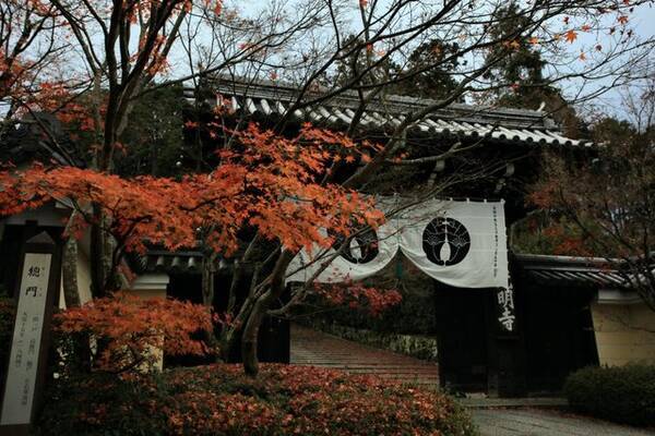 京都紅葉 一度は眺めてみたい門越しの風景がある紅葉名所 長岡京市 光明寺 年12月16日 エキサイトニュース