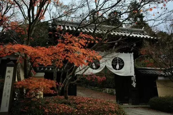 【京都紅葉2020】一度は眺めてみたい門越しの風景がある紅葉名所。長岡京市「光明寺」
