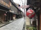 「【京都五花街】築100年超の現歌舞練場最後の『京おどり』絶賛公演中「宮川町」」の画像3
