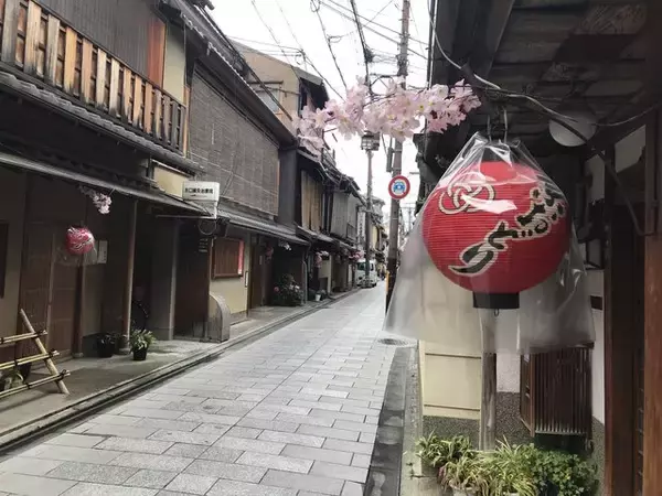 「【京都五花街】築100年超の現歌舞練場最後の『京おどり』絶賛公演中「宮川町」」の画像
