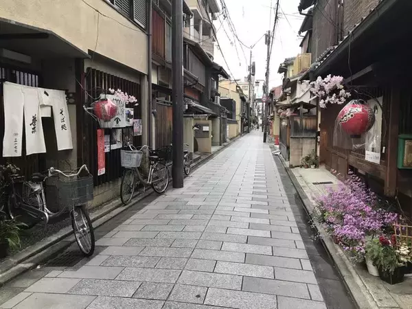 【京都五花街】築100年超の現歌舞練場最後の『京おどり』絶賛公演中「宮川町」