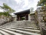 「【京都観光】癒される♩今が見頃、美しい新緑の青もみじ『三千院』」の画像8