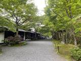 「【京都観光】癒される♩今が見頃、美しい新緑の青もみじ『三千院』」の画像7