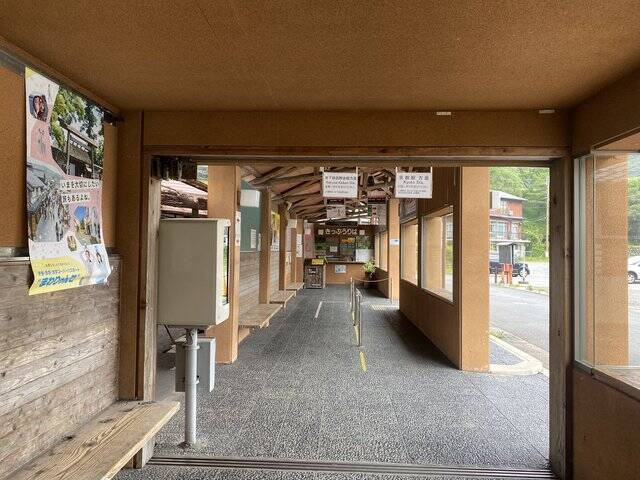 【京都観光】癒される♩今が見頃、美しい新緑の青もみじ『三千院』