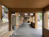 「【京都観光】癒される♩今が見頃、美しい新緑の青もみじ『三千院』」の画像2