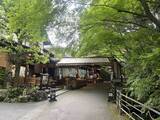 「【京都観光】癒される♩今が見頃、美しい新緑の青もみじ『三千院』」の画像6