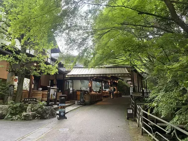 「【京都観光】癒される♩今が見頃、美しい新緑の青もみじ『三千院』」の画像