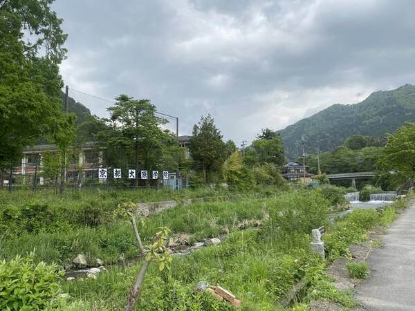 京都観光 癒される 今が見頃 美しい新緑の青もみじ 三千院 21年5月26日 エキサイトニュース