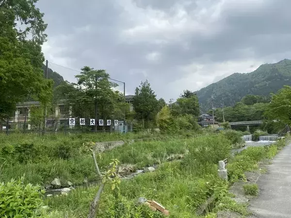 【京都観光】癒される♩今が見頃、美しい新緑の青もみじ『三千院』