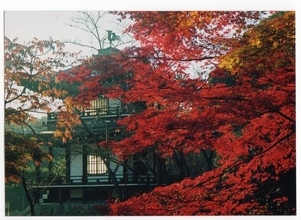 とっておきの京都【11/16〜12/1】天皇陛下御即位記念「京都山科非公開文化財等の特別公開」開催【山科南エリア編】