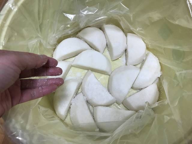 【京都発酵体験レポート】京野菜や老舗麹など京都食材で冬の味覚『かぶら寿司』を作ってみました☆