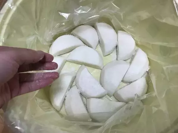 「【京都発酵体験レポート】京野菜や老舗麹など京都食材で冬の味覚『かぶら寿司』を作ってみました☆」の画像