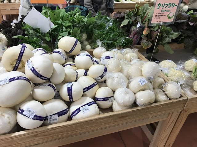 【京都発酵体験レポート】京野菜や老舗麹など京都食材で冬の味覚『かぶら寿司』を作ってみました☆