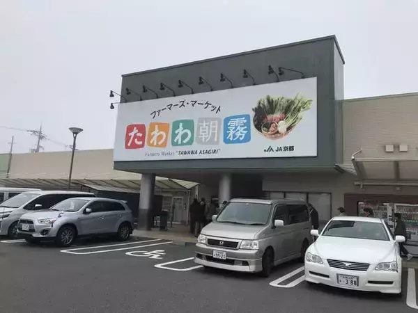 「【京都発酵体験レポート】京野菜や老舗麹など京都食材で冬の味覚『かぶら寿司』を作ってみました☆」の画像