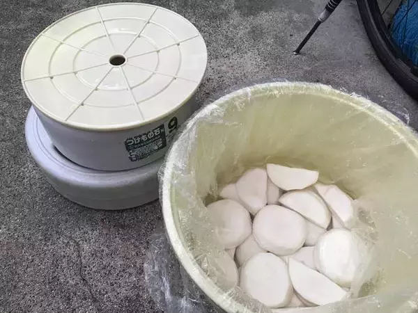 「【京都発酵体験レポート】京野菜や老舗麹など京都食材で冬の味覚『かぶら寿司』を作ってみました☆」の画像